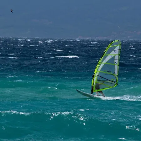 Oleja Split