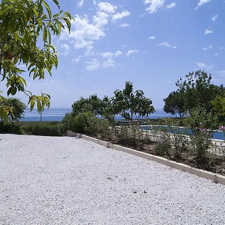 Holiday Oleja *