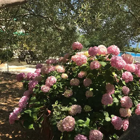 Oleja بيت للعطل *