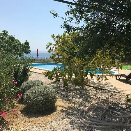 Holiday Oleja