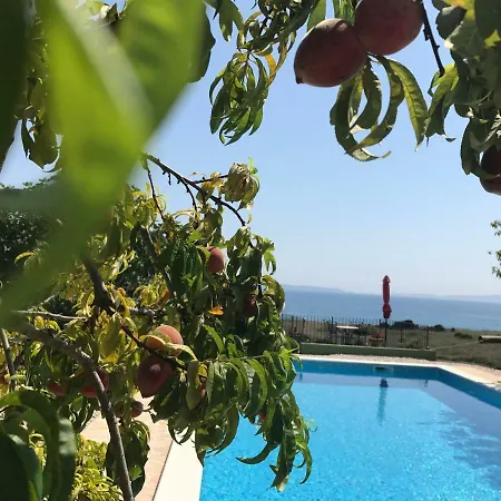 Oleja * Split